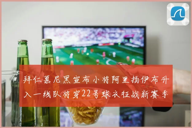 拜仁慕尼黑宣布小将阿里扬伊布升入一线队将穿22号球衣征战新赛季
