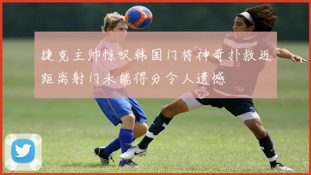 捷克主帅惊叹韩国门将神奇扑救近距离射门未能得分令人遗憾